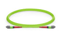 FS 24FMTPOM5 1m 24-Fibers OM5 Multimode Active Optical Breakout Cable