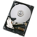 IBM 40.0GB 7200RPM 3.5 Inch ATA-100 IDE/EIDE Hard Drive