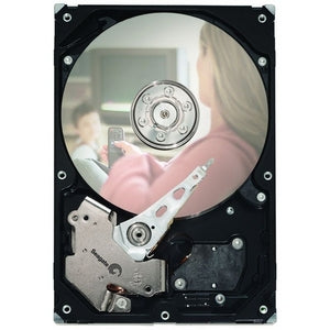 Seagate ST3500830ACE DB35 Series 500GB 7200RPM 8MB Cache Ultra ATA-100 3.5" Internal Hard Drive
