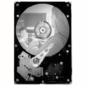 Seagate SV35.2 Series ST3320620AV 320GB 7200RPM 16MB Ultra ATA-100 3.5" Internal Hard Drive