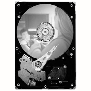 Seagate SV3 ST31000525SV 1TB 7200RPM 32MB ATA-300 3.5" Hard Drive