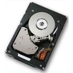 Hitachi 36GB Int 3.5-in 2Gb s Fibre Channel 15K rpm 16MB 1-in Height 5-Yr Warr.