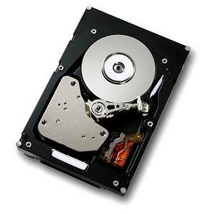 Hitachi Ultrastar 15K73 08K2409 73GB 15000RPM 8MB Buffer Fiber Channel-2 3.5" Hard Drive