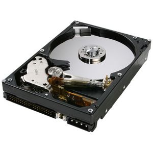 Hitachi Deskstar 0A31337 160GB 7200RPM 8MB Ultra ATA-133 3.5" Hard Drive.