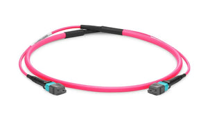 FS 12FMTPOM4 5m 850/1300nm 12-Fibers OM4 Active Optical Breakout Cable