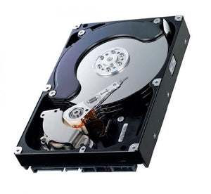 Hitachi HMS360402D5CF00 Microdrive 3K4 2GB 3600RPM 128KB Internal Hard Drive
