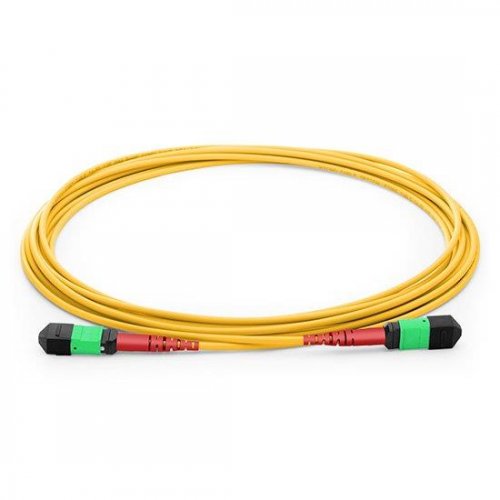 FS 24FMTPSMF 1m Cable 1310nm 24-Fibers single-mode OFNP MTP Cable