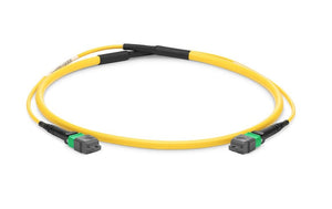 FS AM-12FMTPOS2 2m 12-Fibers OS2 Single Mode Active Optical Breakout Cable