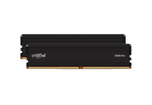 Crucial CP2K24G60C48U5 48GB DDR5 SDRAM 6000MHz DIMM Memory Module