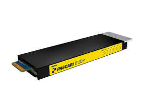 PHISON D180AK021T92P012T0400 Pascari D100P E1.S 1.92TB PCIe Gen4 Data Center High-Speed Non-SED Solid State Drive