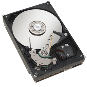 IBM 36GB DK32EJ-36FC SCSI/FC-AL (Fibre Channel) 10KRPM - OEM