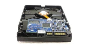 HGST 0F10979 Deskstar 7K1000.C 250Gb 7200Rpm Serial ATA-3.0Gbps 8Mb Cache 3.5-Inch Internal Hard Drive