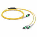 Mellanox MFP7E40-N003 3m Single-mode Passive Fiber Network Cable