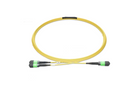 Mellanox MFP7E40-N050 MPO12 APC 400Gbps 50M Fiber Passive Optical Cable