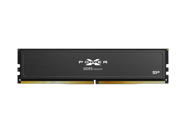 Silicon SP064GXLWU60BFDJ XPower Pulse DDR5 64GB 6000MHz UDIMM RAM Module