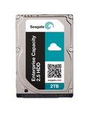 Seagate ST1000NX0323 Enterprise Capacity 1Tb 7200RPM SAS-12.0Gbps 2.5-Inch Hard Drive