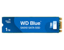 Western Digital WDS100T3B0B Blue SA510 1TB M.2 2230 Solid State Drive