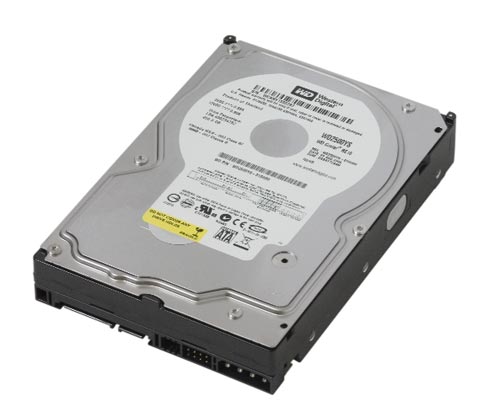 Western Digital WD2500YS Cavier RE  250Gb 7200RPM Serial ATA-3.0Gbps 16Mb Cache 3.5-Inch Internal Hard Drive