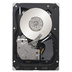 Seagate Cheetah NS.2 ST3300602FC 300GB 10KRPM 16MB Buffer Fiber Channel 4GB/S 3.5" Hard Drive