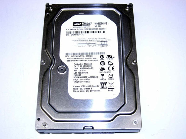 Western Digital WD2502ABYS 250Gb 7200RPM 16MB SATA-300 3.5-Inch Hard Drive