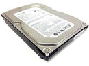 Seagate ST3160815A Barracuda 7200.10 160Gb 7200Rpm 8Mb 3.5-Inch Internal Hard Drive